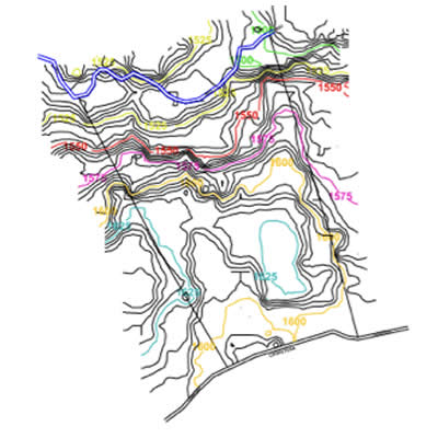 Plantación de Café