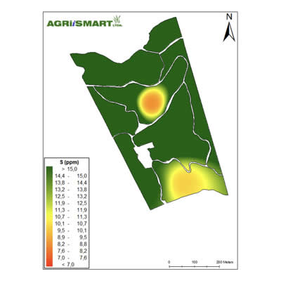 Plantación de Café